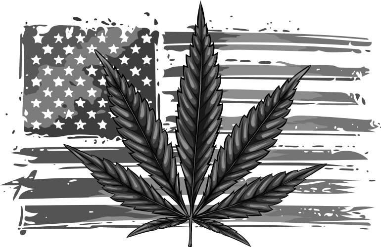 Design an isolated usa flag with a hemp leaf Vector Image