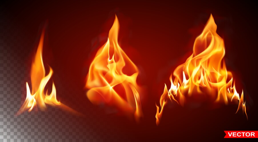 realistic burning fire flame bright element vector image