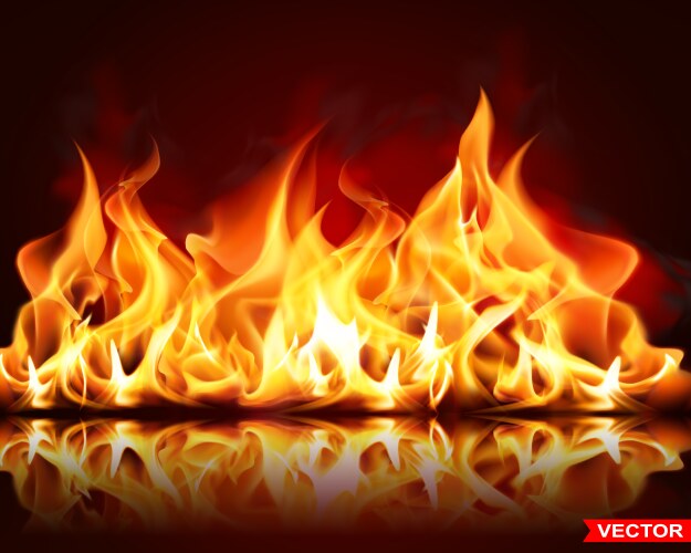 Realistic burning fire flame bright element vector image