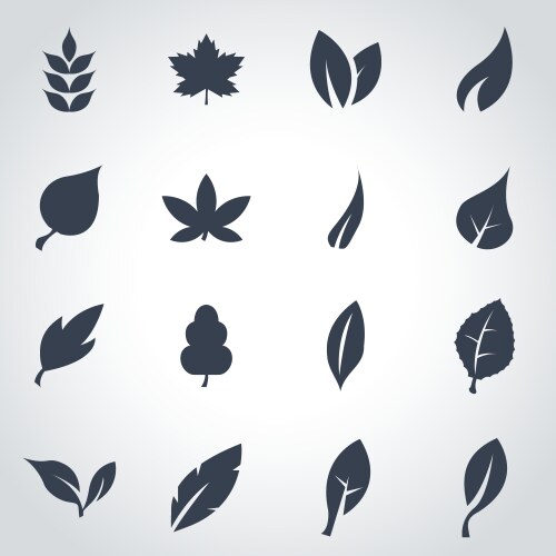 Leaves set Royalty Free Vector Image - VectorStock