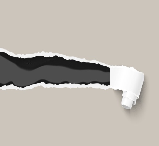 Torn Paper Frame with Scroll vector image