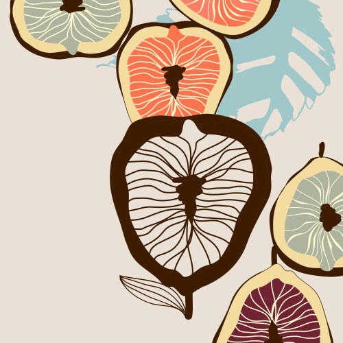 abstract stylized fig fruits background vector