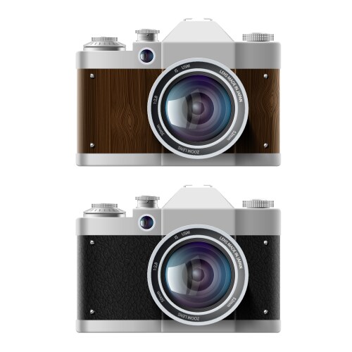 Vintage Camera Collection Vector Image