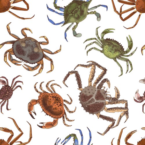 Seamless pattern with different types of crabs vector image