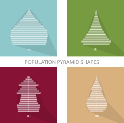 Four different types of population pyramids graphs vector image