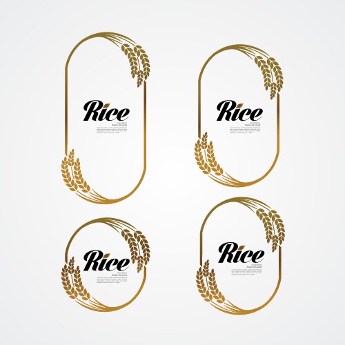 Premium rice product package mockup Royalty Free Vector
