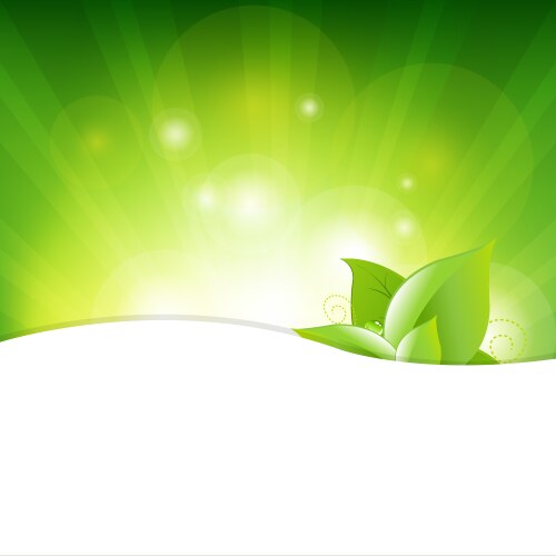 green background with beams and leaves vector image vector image