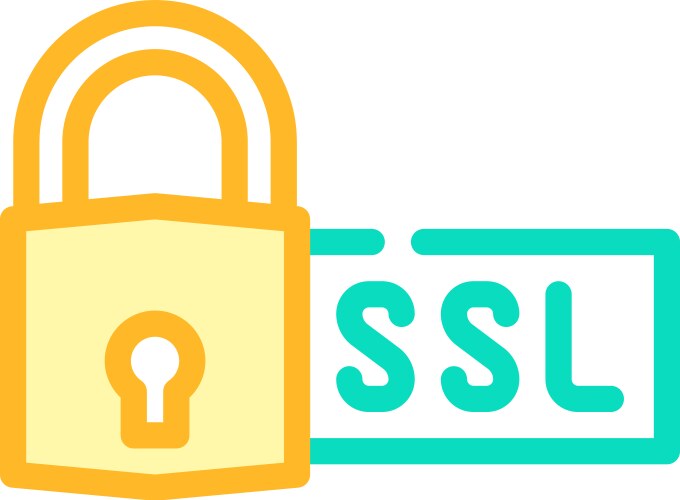 Ssl secure sockets layer seo color icon vector image