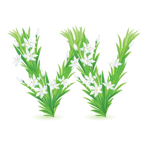 Spring flowers alphabet w vector image