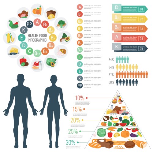 Health food infographic pyramid healthy vector image