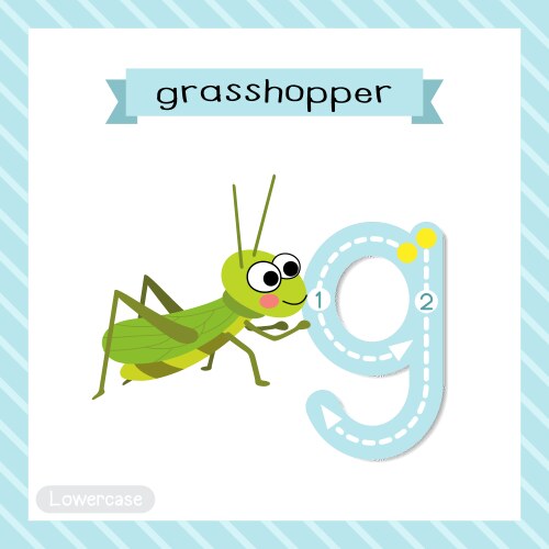 Lowercase 'G' Grasshopper Tracing vector image
