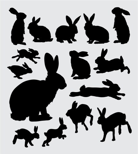 Rabbit Silhouettes - Pet & Action Vector Image