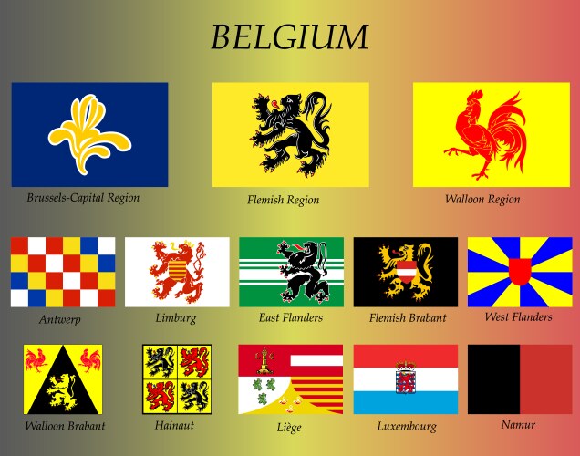 All flags belgium regions vector image