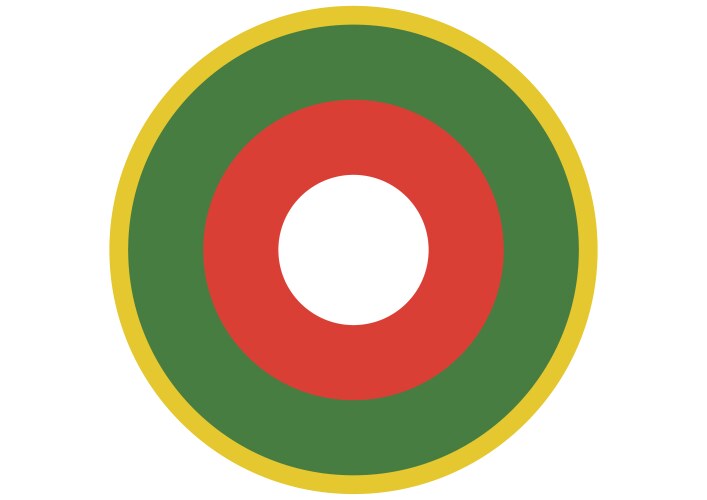 Madagascar air force roundel vector image