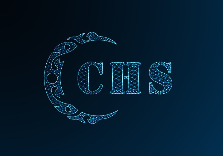 CHS Low Poly Letter Logo Vector Image