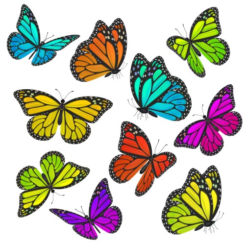 Colorful Butterfly Collection Vector Image