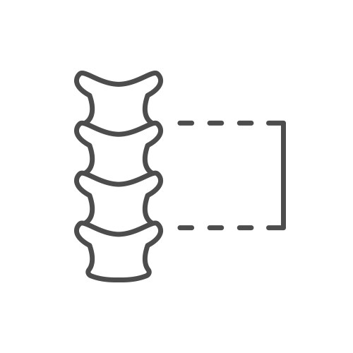 Spine segment line outline icon vector image