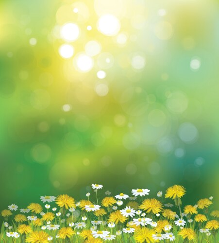 Spring flowers sky Royalty Free Vector Image - VectorStock