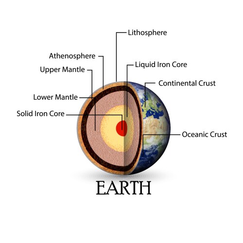 Diagram showing layers of the earth lithosphere Vector Image