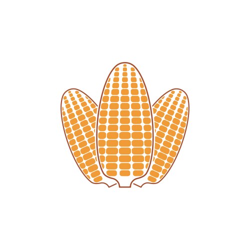 Corn Royalty Free Vector Image - VectorStock