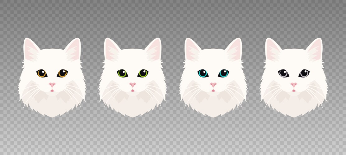 flat cats eye of a white cat face vector image