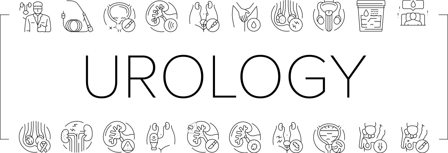 Urology prostate urinary kidney icons set Vector Image