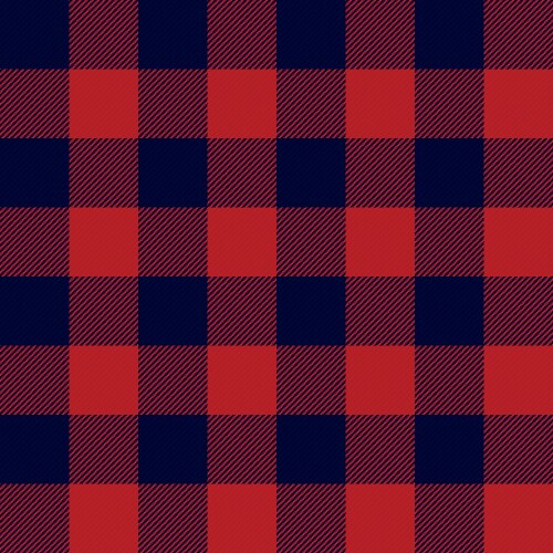 Lumberjack plaid seamless pattern Royalty Free Vector Image