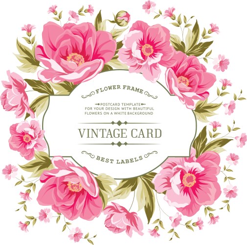 Luxurious color peony pattern Royalty Free Vector Image