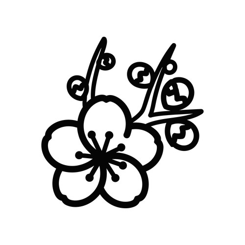Elegant Black Cherry Blossom Line Art Vector Image