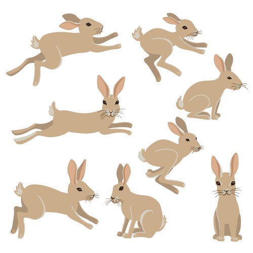 Drawing Animal Vector Images Over 780 000