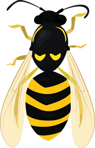 Wasp Sketch - Insect Detail Vector Image
