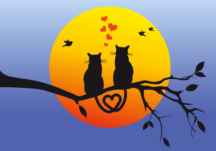 Cats on tree branch vector image