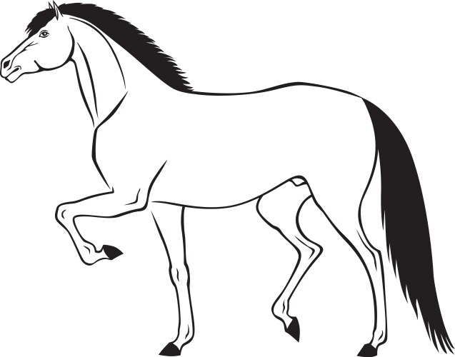 Elegant Horse Silhouette Vector Image