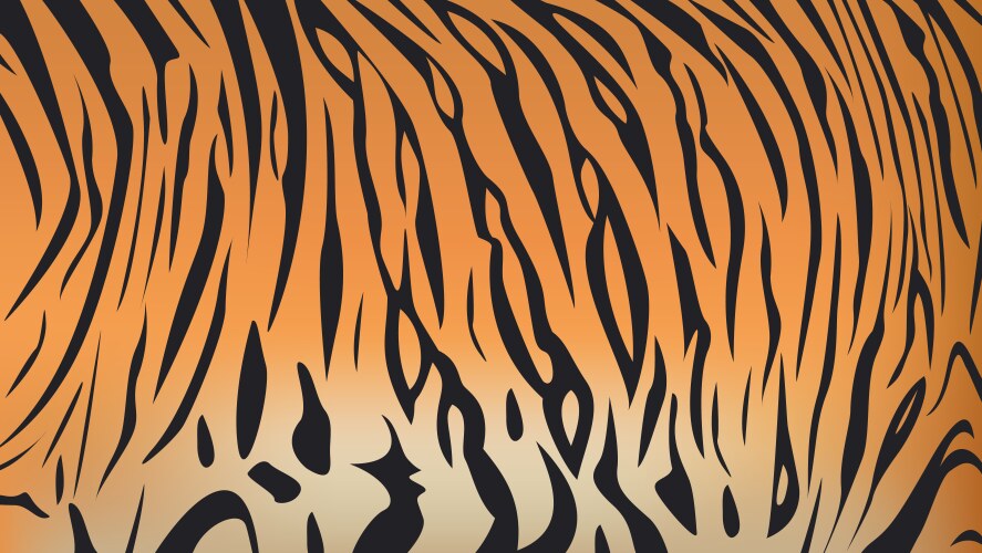 Bengal tiger stripe pattern vector image