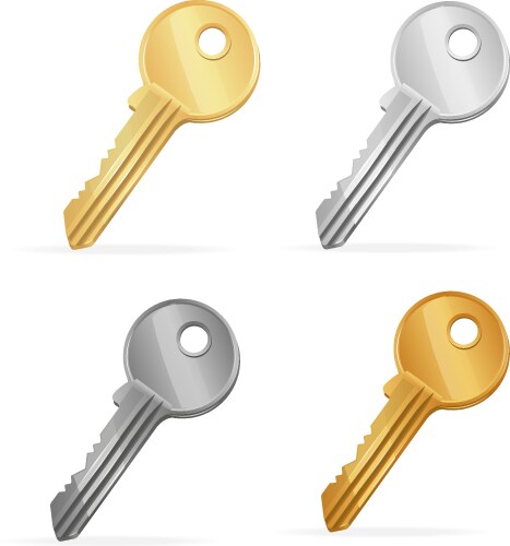 Golden and silver crossed shiny vintage keys Vector Image