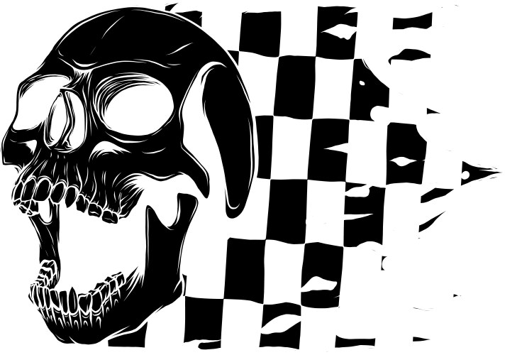 Black silhouette of skull with race flag Vector Image