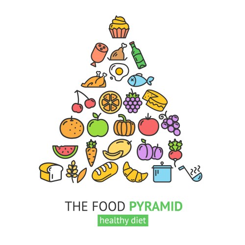 Healthy foods pyramid vector image