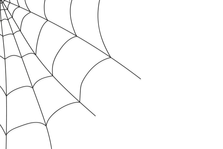 Cobweb isolated on white vector image