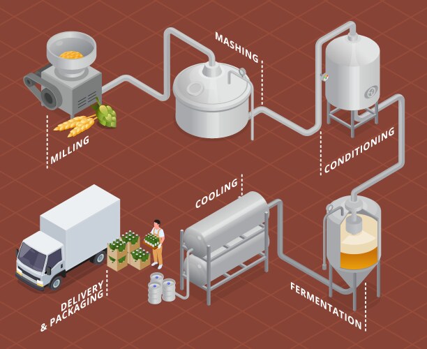 isometric brewery flowchart vector image