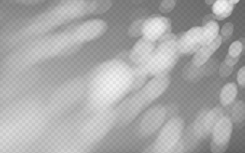 Abstract shadow overlay from tree branch vector image
