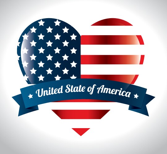 Usa design Vector Image
