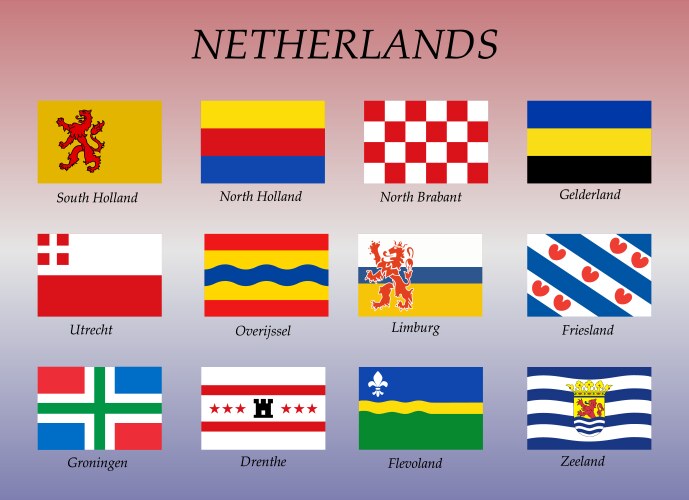 All flags netherlands regions vector image