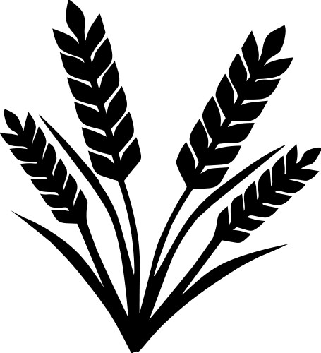 Ears of wheat Royalty Free Vector Image - VectorStock