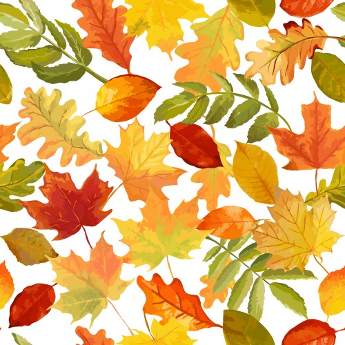 Autumn leaves background - seamless pattern Vector Image