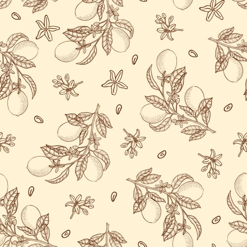Lemon branches and flowers seamless pattern – Royalty-Free Vector ...