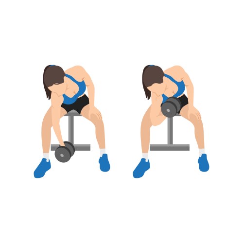 Basic rgbwoman doing dumbbell bicep curls Vector Image