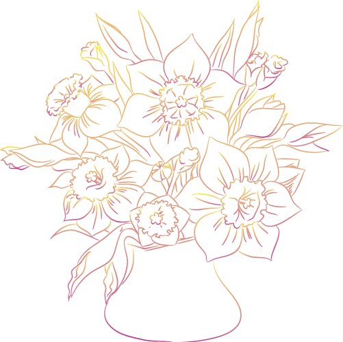 Daffodil bouquet colored ink Vector Image