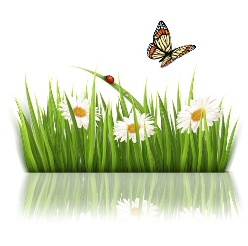 Green grass nature wave background Royalty Free Vector Image