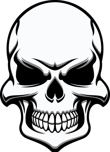Eerie Black and White Skull Vector Image