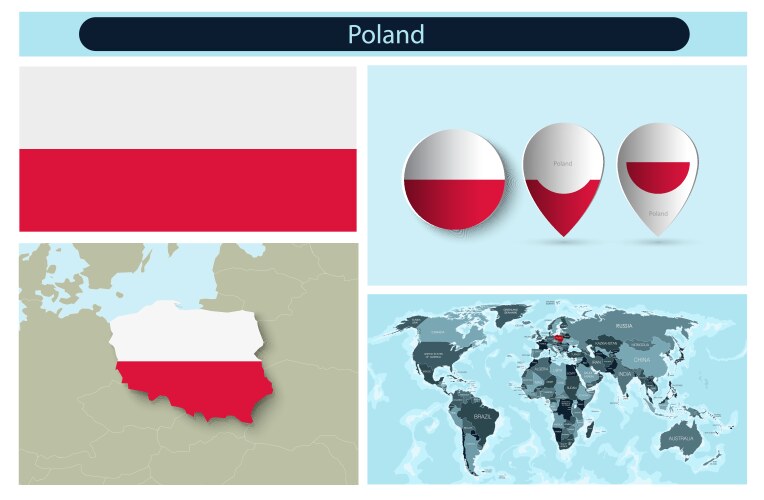 Political infographics made from maps and flags Vector Image